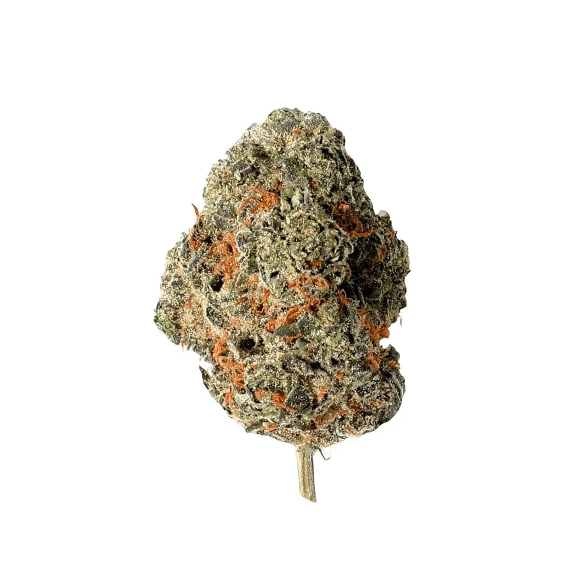 BUUO 18/1 KBP - Kaleido Boom Popstars