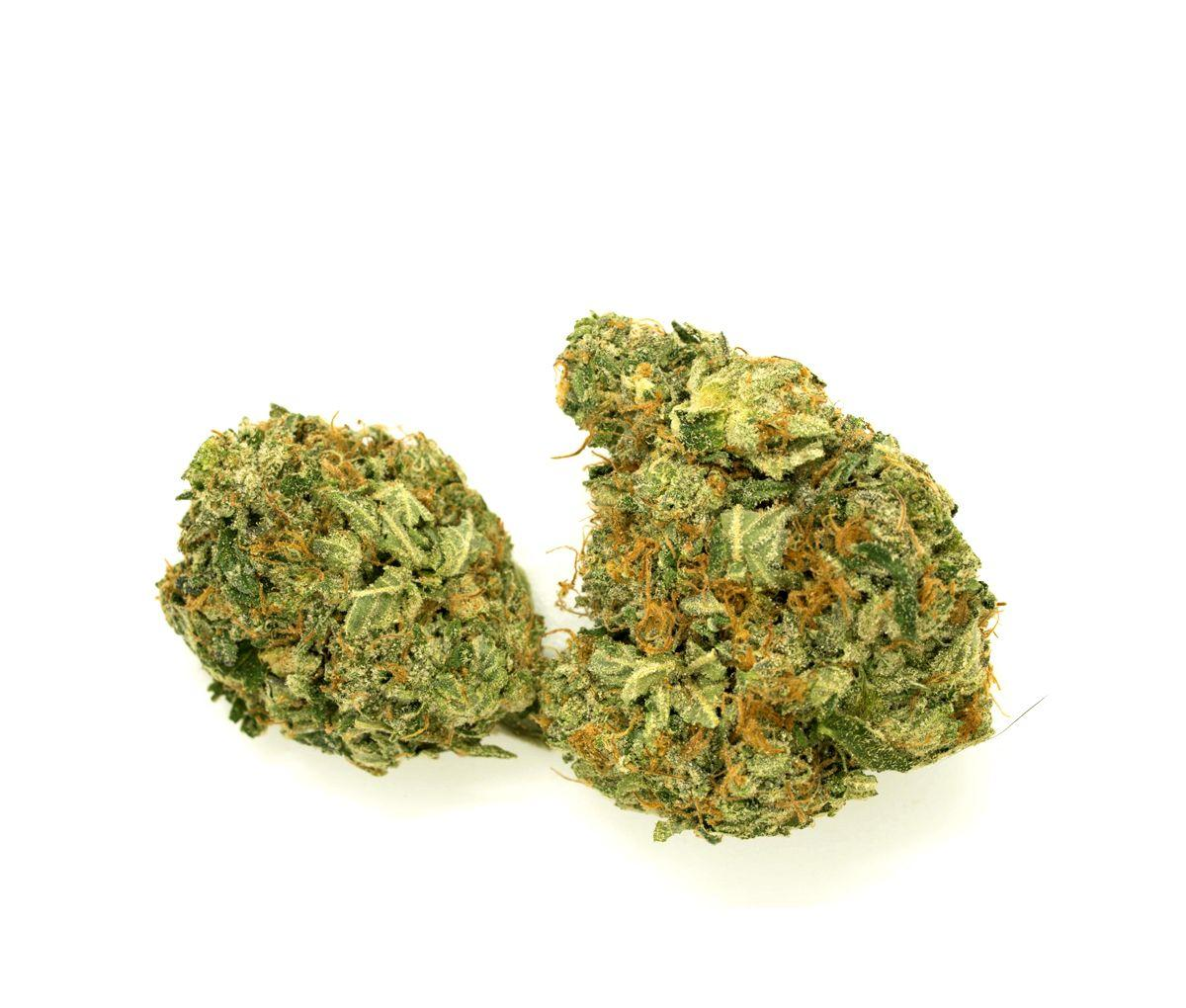 IMC THC22 T 01 - Hindu Kush