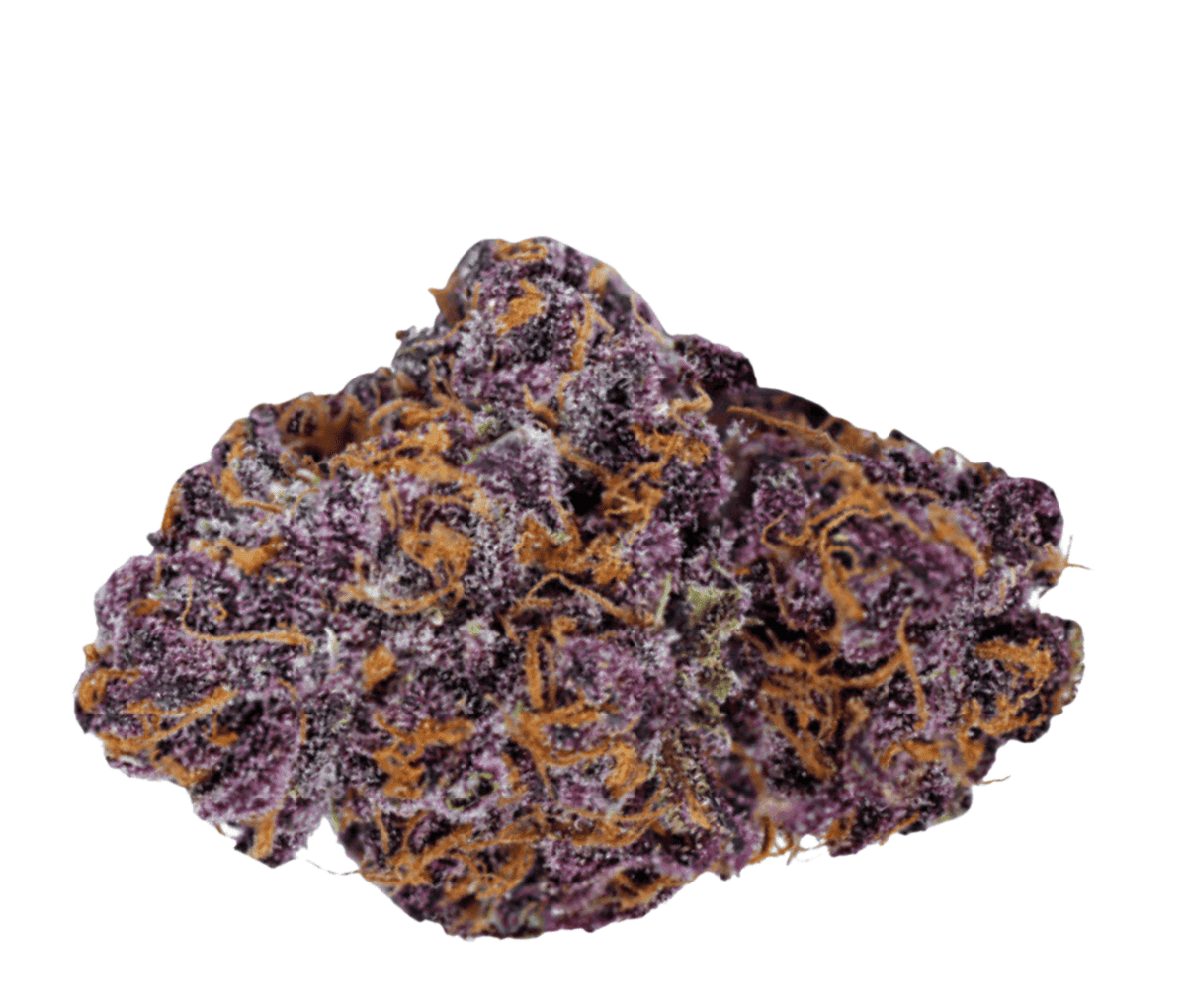 Tilray THC25 Spotlight Porto - Purps Tilray THC25 Spotlight Porto - Purps