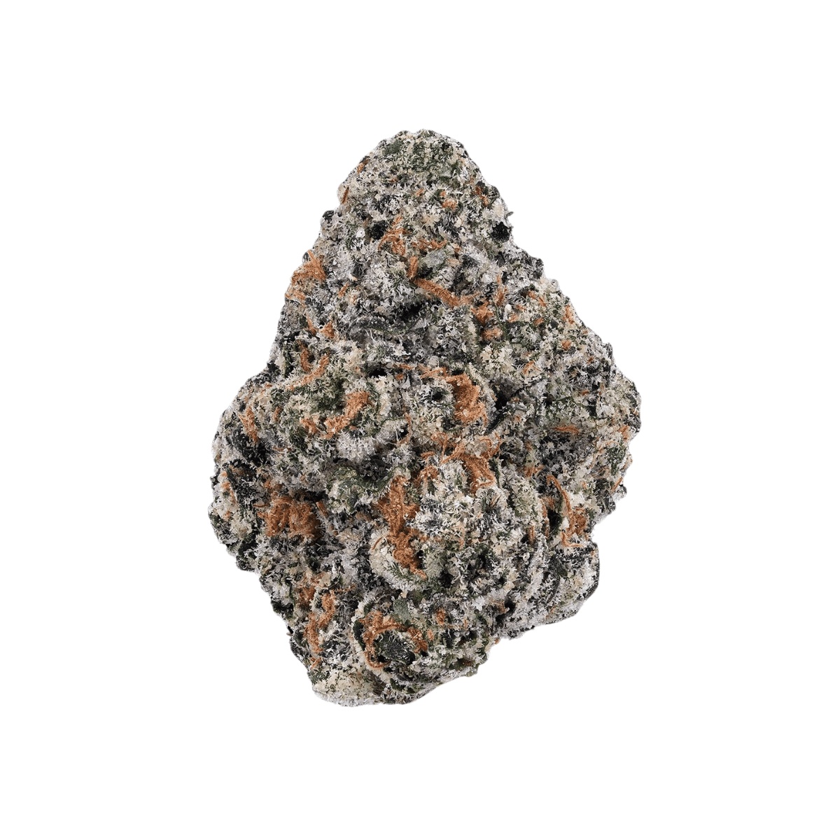 IMC Token GC THC23 - Gorilla's Chocolate IMC Token GC THC23 - Gorilla's Chocolate