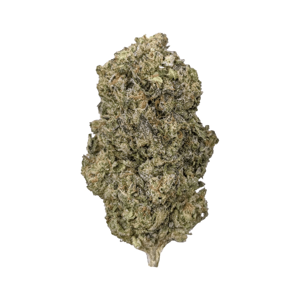 Briah Heaven Mintz 34 - Kush Mintz
