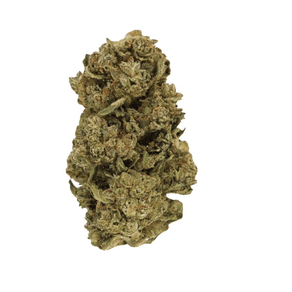 Enua 25/1 CBC CA - Citron Biker Cookies