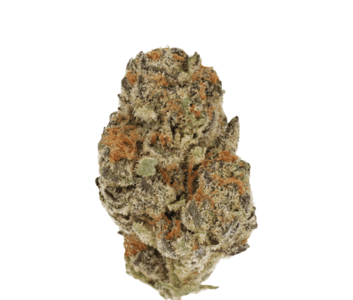 Cannamedical Indica classic ZAF Dank Wafers Cannamedical Indica classic ZAF Dank Wafers