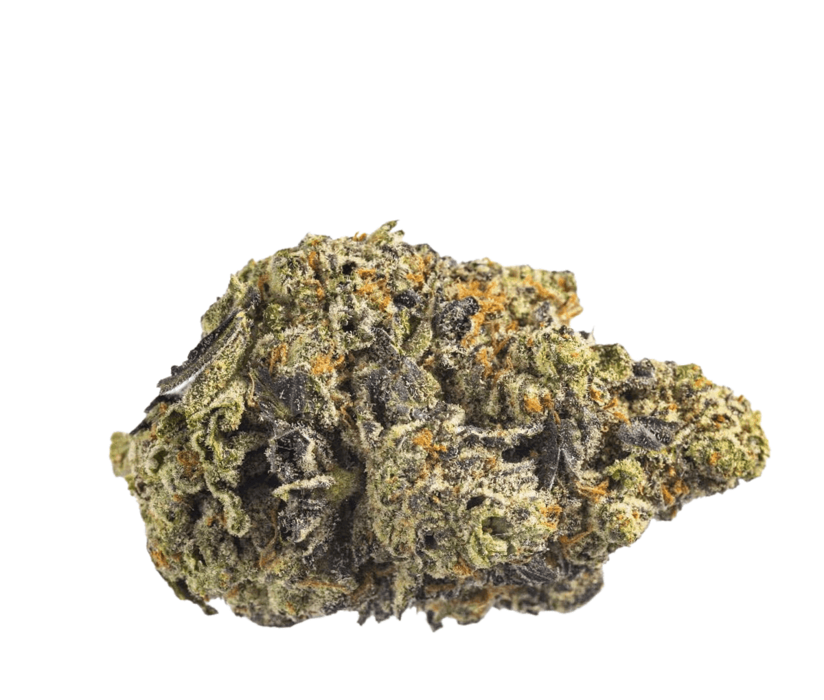 Canopy KMI 28 - Kush Mints