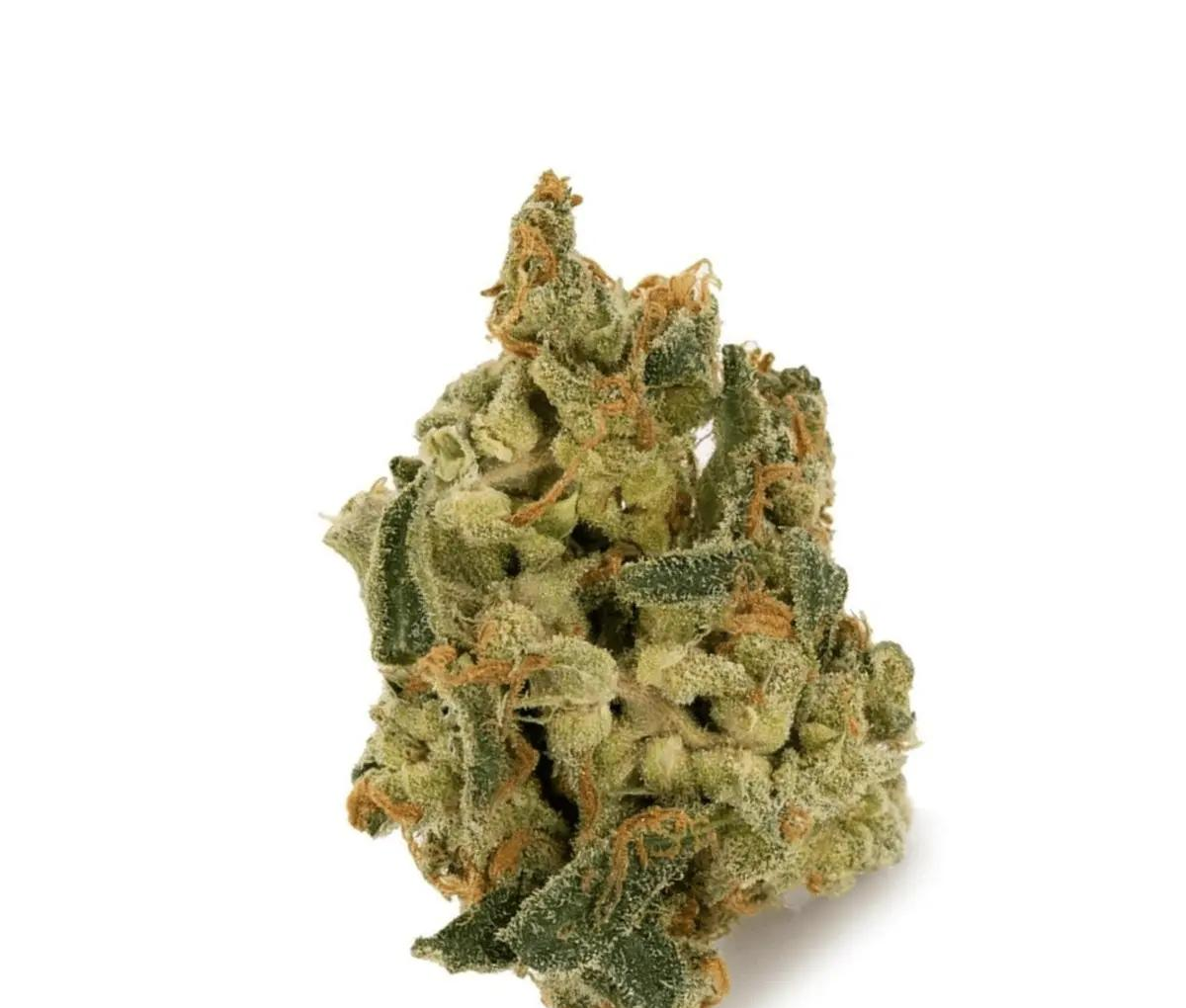 IMC THC22 T05 - Somango Skunk IMC THC22 T05 - Somango Skunk