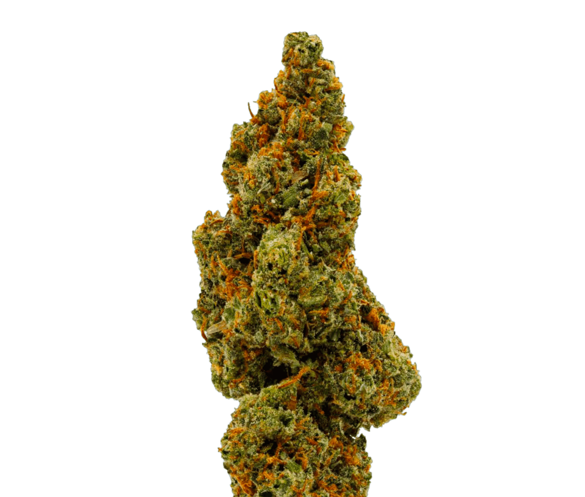 Sinceritas Sativa Verum 24/1 Kush Mints