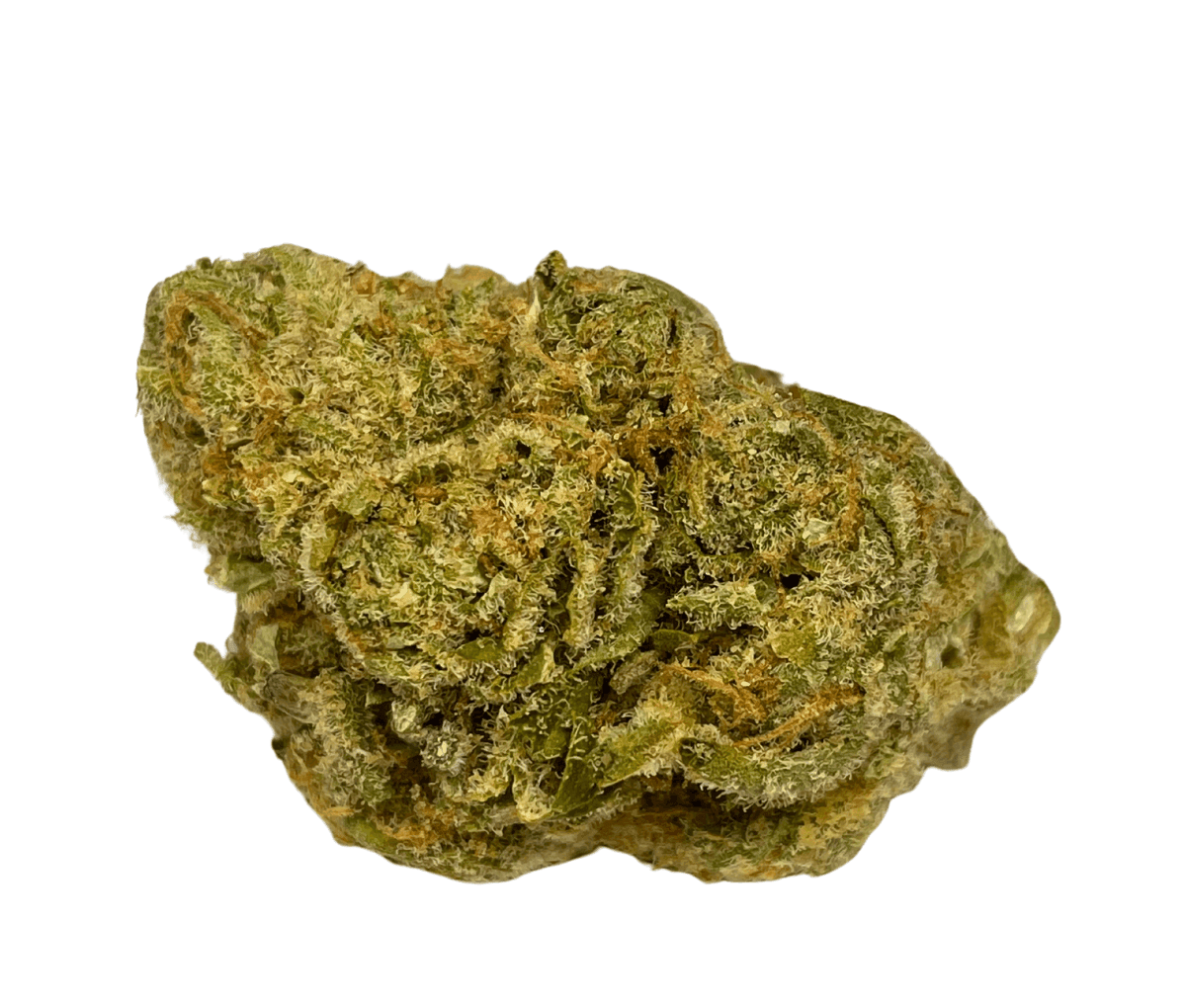 All Nations LT 21/1 - Lemon Tartz All Nations LT 21/1 - Lemon Tartz