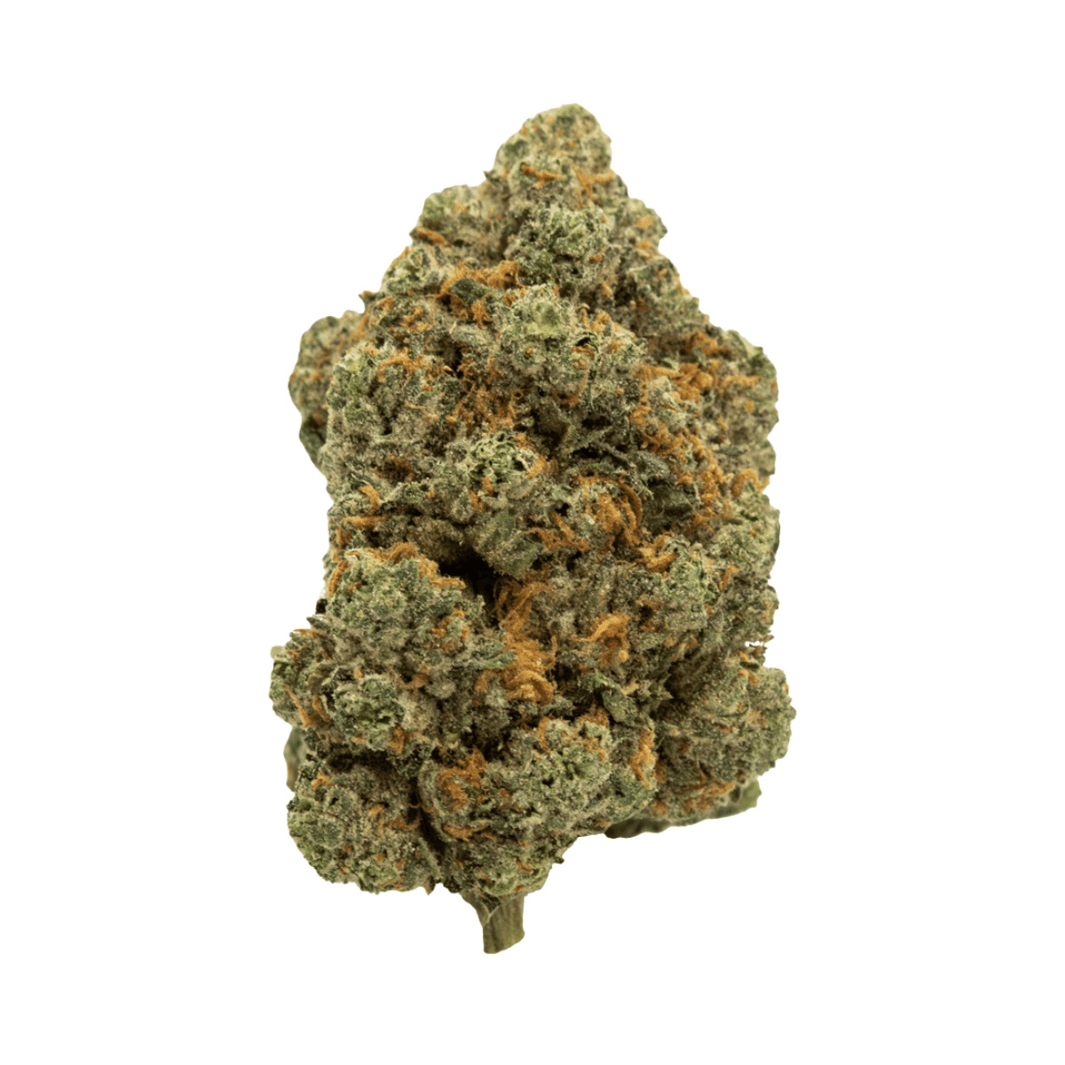 AMP KHI BC THC33 - Blue Candy